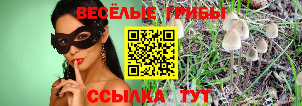 Галлюциногенные грибы ЛСД  Вход с VPN  Галлюциногенные грибы GOLDEN TEACHER  сколько стоит  Сунжа 