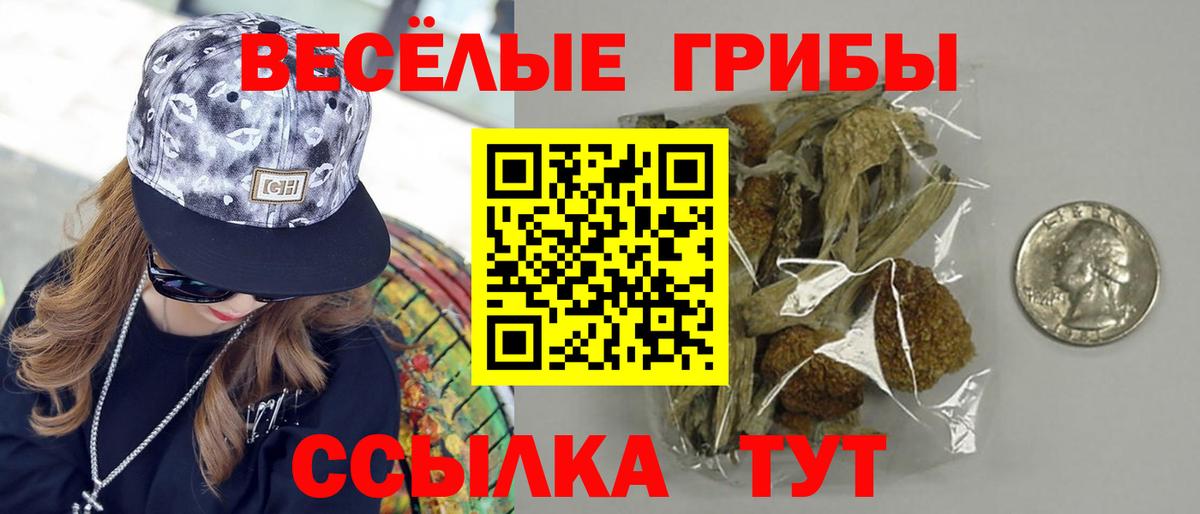 Галлюциногенные грибы мицелий Сунжа