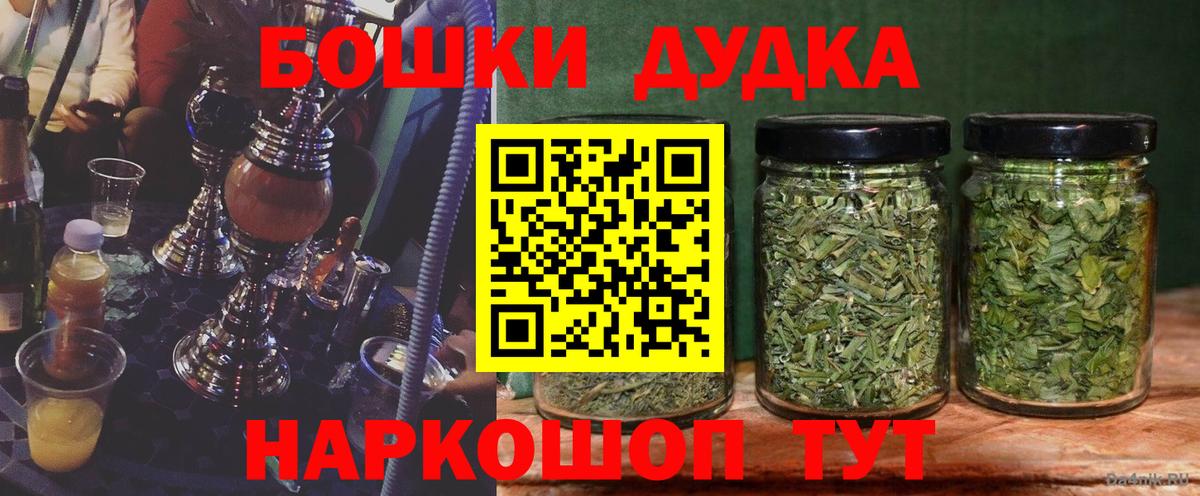 Каннабис ГИДРОПОН Сунжа